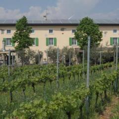 Отель Agriturismo Sol De Montalto Риволи-Веронезе фото 17