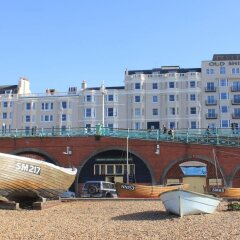 The Old Ship Hotel с домашними животными