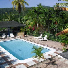 Отель Tamarind Great House Каслтон бассейн