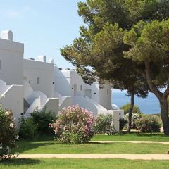 Отель Destino Pacha Ibiza Resort фото 7