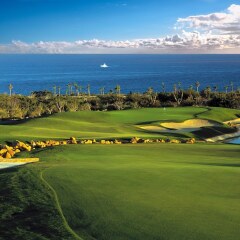 Отель Cabo del Sol, The Premier Collection спортивное сооружение