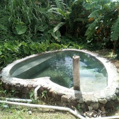 Wales Yard in Massacre, Dominica from 59$, photos, reviews - zenhotels.com pool