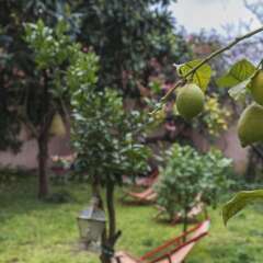 Отель La Petite Maison de Lapa Португалия, Лиссабон - отзывы, цены и фото номеров - забронировать отель La Petite Maison de Lapa онлайн фото 7
