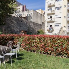 Отель Oporto City Flats - Ayres Gouvea House фото 6