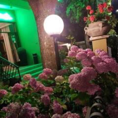 Hotel Delle Ortensie Фьюджи фото 3