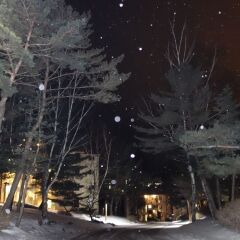 Отель Yongpyong Resort Dragon Valley Hotel Южная Корея, Пхёнчан - отзывы, цены и фото номеров - забронировать отель Yongpyong Resort Dragon Valley Hotel онлайн фото 6