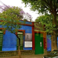 Отель Hostal MX Coyoacan Мексика, Мехико - отзывы, цены и фото номеров - забронировать отель Hostal MX Coyoacan онлайн приотельная территория