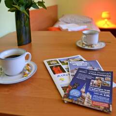 Отель Hill Inn Польша, Познань - отзывы, цены и фото номеров - забронировать отель Hill Inn онлайн в номере фото 2