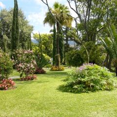 Отель Quinta Jardins do Lago Португалия, Фуншал - отзывы, цены и фото номеров - забронировать отель Quinta Jardins do Lago онлайн фото 4