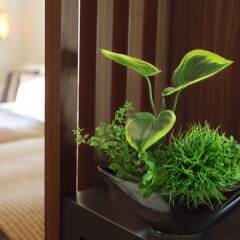 Tokyo Bay Maihama Hotel удобства в номере