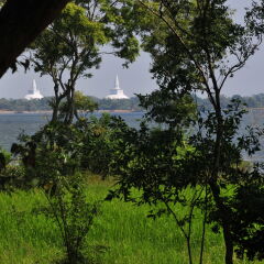 Отель Water's Edge Anuradhapura Шри-Ланка, Анурадхапура - отзывы, цены и фото номеров - забронировать отель Water's Edge Anuradhapura онлайн приотельная территория