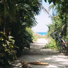 Отель The Hoi An Hippie House