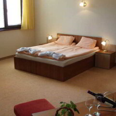 Hotel Bistrica in Borovets, Bulgaria from 179$, photos, reviews - zenhotels.com guestroom photo 5