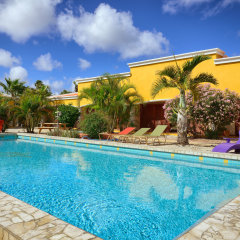 Djambo Apartments - Adults Only in Kralendijk, Bonaire, Sint Eustatius and Saba from 143$, photos, reviews - zenhotels.com pool
