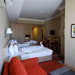 SV Business Hotel Diyarbakir Диярбакыр комната для гостей