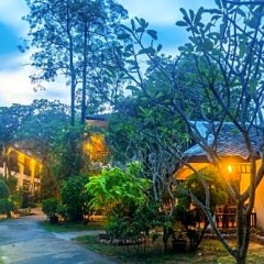 Отель Lamai Wanta Beach Resort фото 10
