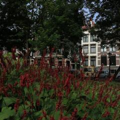 Отель Frederik Park House Нидерланды, Амстердам - отзывы, цены и фото номеров - забронировать отель Frederik Park House онлайн