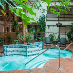 Отель Grand Canyon Plaza Hotel США, Гранд-Каньон - отзывы, цены и фото номеров - забронировать отель Grand Canyon Plaza Hotel онлайн бассейн фото 2