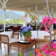 Mithat Motel Турция, Чавушкёй - отзывы, цены и фото номеров - забронировать отель Mithat Motel онлайн питание фото 3