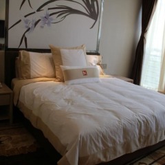 Dadongyu Hotel комната для гостей фото 3