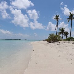 Отель Reef Edge Thulusdhoo Остров Гасфинолу пляж фото 2