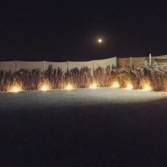 Chadelya Camp in Riyadh, Saudi Arabia from 193$, photos, reviews - zenhotels.com pool