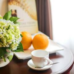 Vision Premier Hotel & Spa в номере