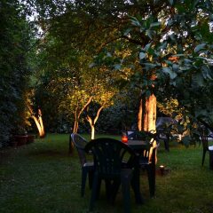 Отель Casablanca Apartments Черногория, Будва - отзывы, цены и фото номеров - забронировать отель Casablanca Apartments онлайн фото 2