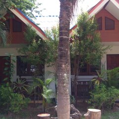 Отель The Krabi Forest Homestay фото 15