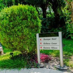 Отель Clear Essence California Spa & Wellness Resort с домашними животными
