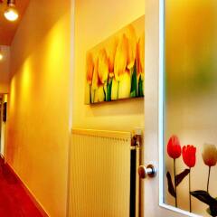 Отель Tulip of Amsterdam B&B Нидерланды, Амстердам - отзывы, цены и фото номеров - забронировать отель Tulip of Amsterdam B&B онлайн интерьер отеля