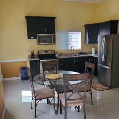 Апартаменты Rochester Modern Chic Apartment в номере