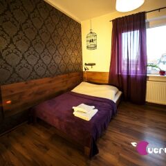 Very Berry Hostel сейф в номере