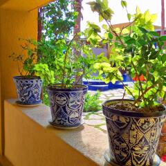 Los Patios Hotel