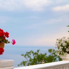 Отель Paradise Lukova Hotel Албания, Химара - отзывы, цены и фото номеров - забронировать отель Paradise Lukova Hotel онлайн фото 4