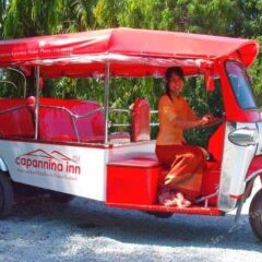 Отель Capannina Inn Таиланд, Пхукет - 10 отзывов об отеле, цены и фото номеров - забронировать отель Capannina Inn онлайн городской автобус