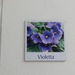 Отель Villa Hibiscus Джардини Наксос удобства в номере