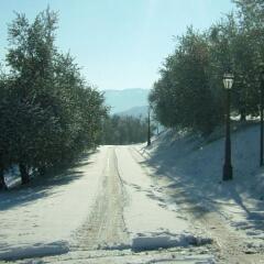 Отель Locanda Degli Ulivi Италия, Аркуньано - отзывы, цены и фото номеров - забронировать отель Locanda Degli Ulivi онлайн приотельная территория