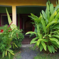Bungalow With one Bedroom in Guadeloupe, With Pool Access, Enclosed Ga in Sainte-Anne, France from 135$, photos, reviews - zenhotels.com photo 9