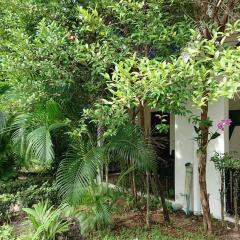 Отель The Krabi Forest Homestay фото 18