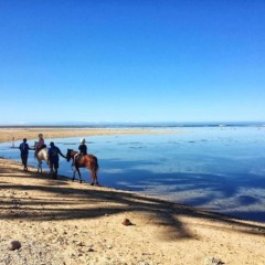 Отель Outrigger Fiji Beach Resort Фиджи, Сигатока - отзывы, цены и фото номеров - забронировать отель Outrigger Fiji Beach Resort онлайн приотельная территория фото 2