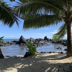 Le Rocher de Tahiti in Tiarei, French Polynesia from 410$, photos, reviews - zenhotels.com beach photo 2
