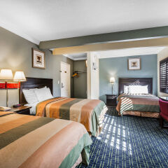 Отель Rodeway Inn Hollywood США, Лос-Анджелес - 1 отзыв об отеле, цены и фото номеров - забронировать отель Rodeway Inn Hollywood онлайн комната для гостей фото 5