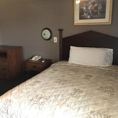 Отель Altamont Motel комната для гостей фото 2