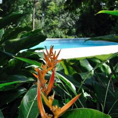 Отель Rancho Baiguate бассейн фото 2