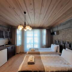 Zeytin Ağacı Hotel Турция, Стамбул - отзывы, цены и фото номеров - забронировать отель Zeytin Ağacı Hotel онлайн комната для гостей фото 5