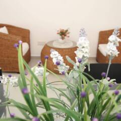 Отель Delite Guest House No 13 @ Batu Ferringhi