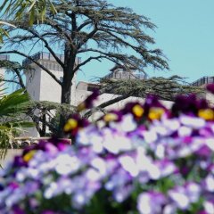 Отель Palazzo Leti Residenza dEpoca Италия, Сполето - отзывы, цены и фото номеров - забронировать отель Palazzo Leti Residenza dEpoca онлайн