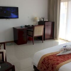 Soluxe Cairo Hotel удобства в номере фото 2