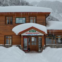 Ayder Avusor Butik Otel Турция, Чамлыхемшин - отзывы, цены и фото номеров - забронировать отель Ayder Avusor Butik Otel онлайн сауна